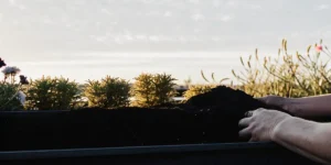 Best Bud Booster for Soil