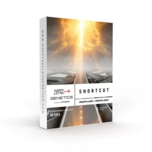 Shortcut Auto Strain seed packaging with a glowing golden light beam over intersecting roads, foggy landscape, and a dramatic, cinematic perspective.
