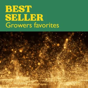 top seller cannabis seeds growers favorites strains